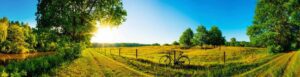 fietsvakantie-duitsland-familievakanties.nl