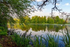 Thüringen_Greiz_rondreizen.nl