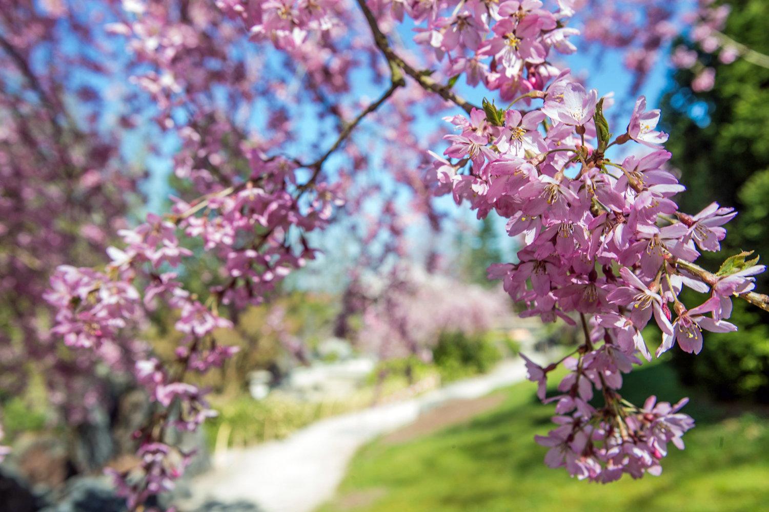 buga2021_rondreizen.nl