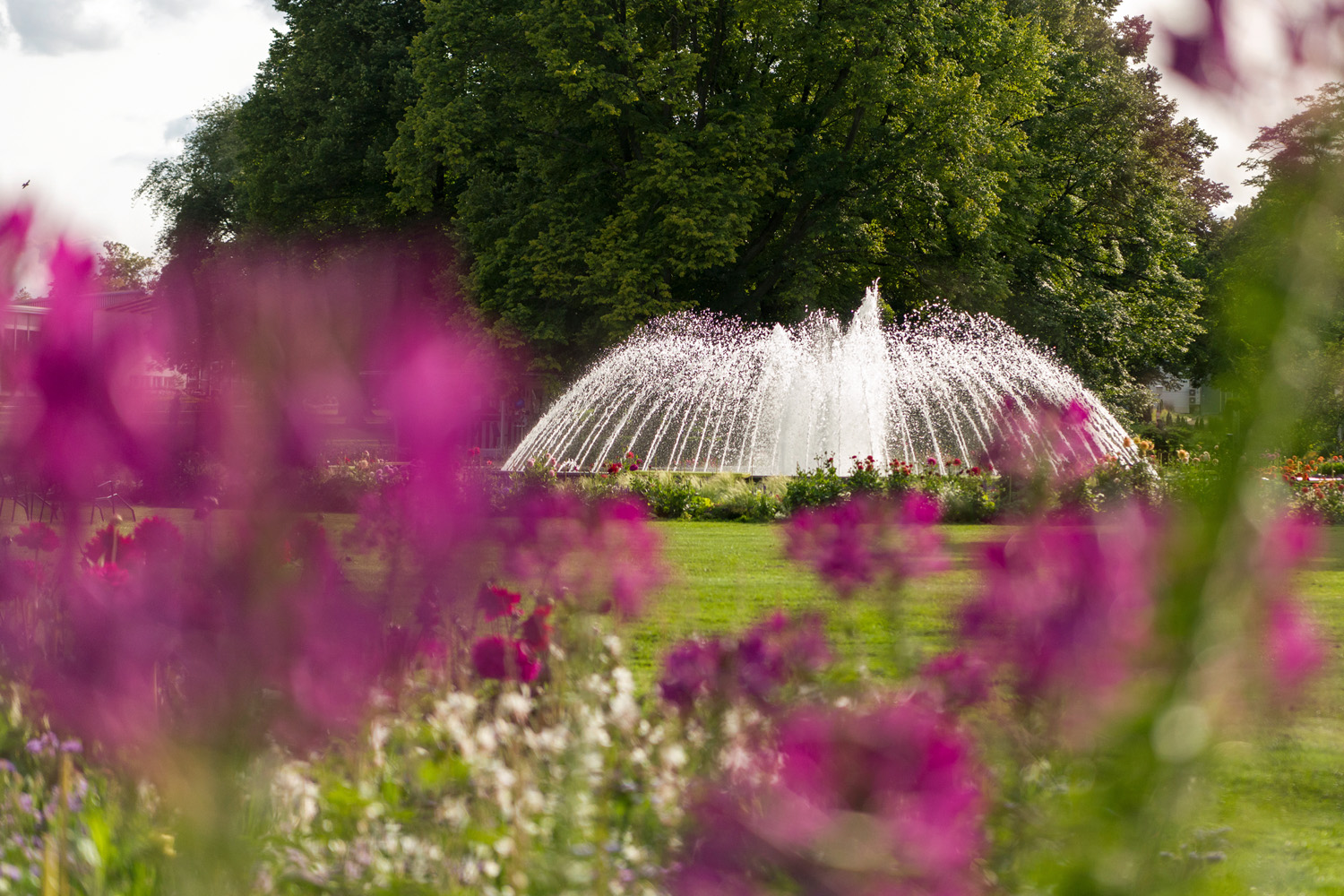 buga2021_rondreizen.nl