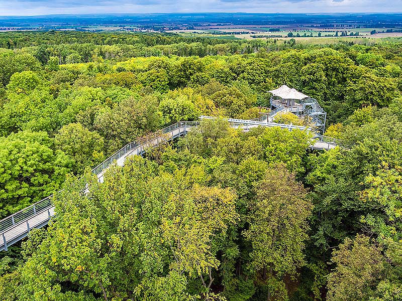 fietsvakantie-thuringen-eichsfeld-boomtoppenpa-rondreizen.nl