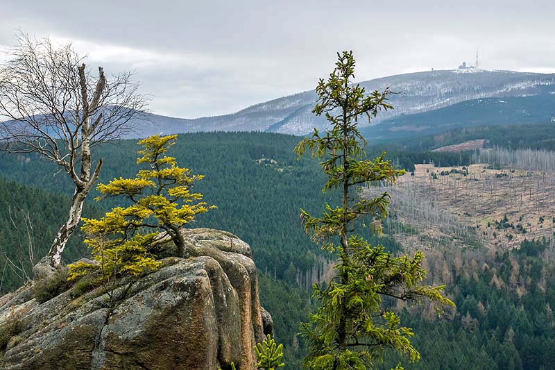 Fietsvakantie-Thüringen-Harz-Brocken-rondreizen.nl