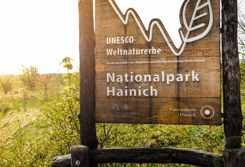 fietsvakantie-thuringen-nationaalpark-hainich-rondreizen.nl