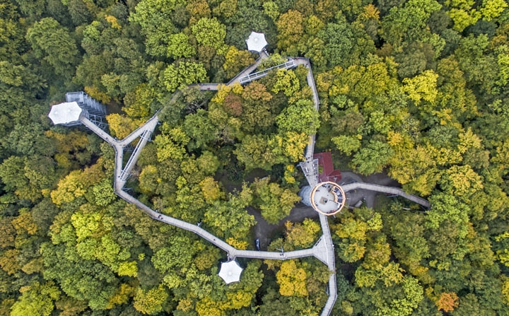 fietsvakantie-thuringen-nationaalpark-hainich-boomkruinenpad--rondreizen.nl