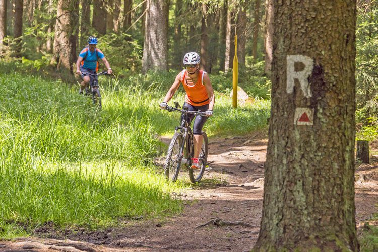 fietsen-thuringen-rondreizen.nl