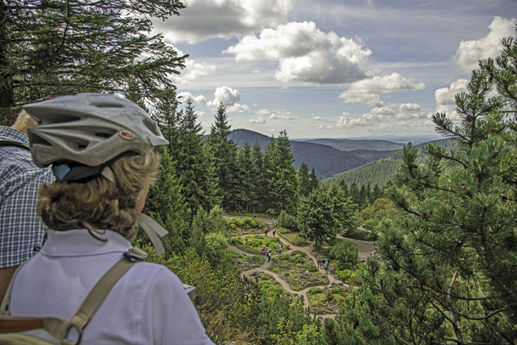 fietsen-thuringerwald-mountainbike-rondreizen.nl