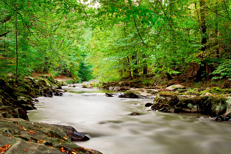Fietsvakantie-thuringen-schwarzatal-rondeizen.nl