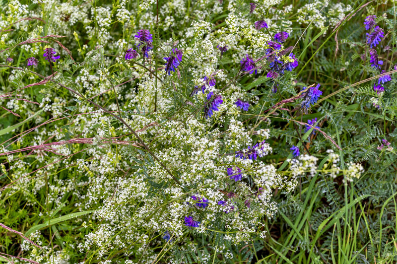 Fietsvakantie-thuringen-schwarzatal-oberweissbach-kruidenland-rondeizen.nl