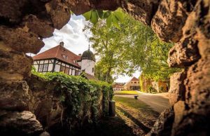 Saksen-Dresden Elbland-Winstrasse-Weingut Hoflößnitz-rondreizen.nl