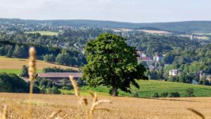 Plauen-Vogtland-Rodewisch-Rondreizen.nl