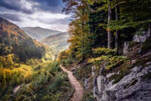 Waterval bij Todtnau in het Hochschwarzwald