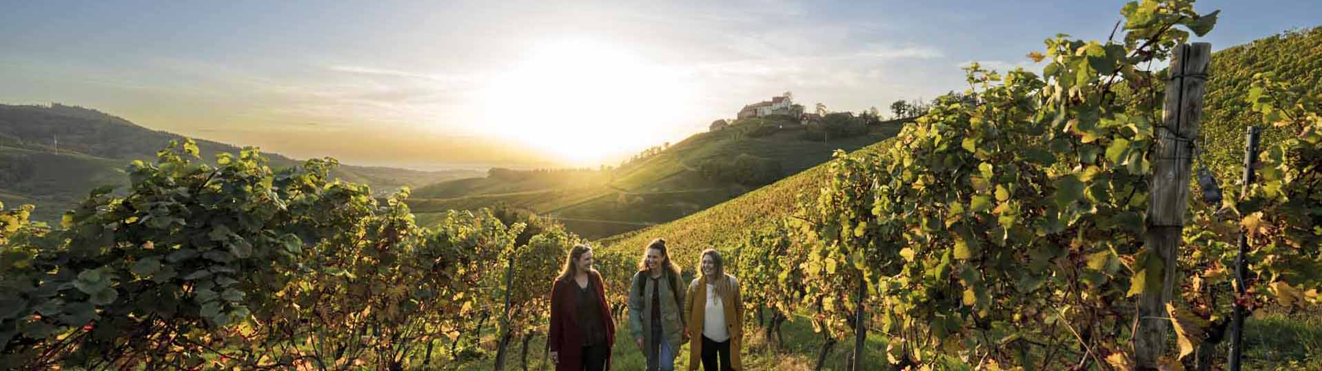 wandelen door de Badische Weinstrasse