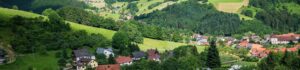 Panorama over een dal in het Zwarte Woud